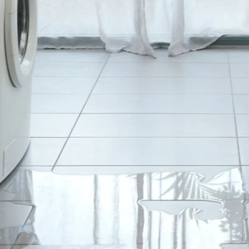 Appliance Leak Cleanup in Cherokee County, NC