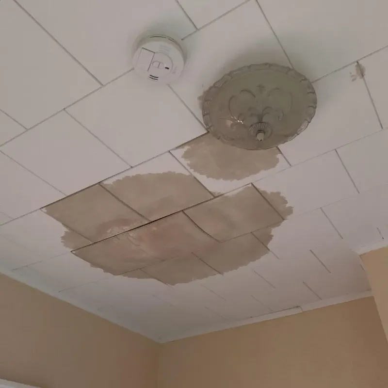 Ceiling Water Damage Repair in Cherokee County, NC