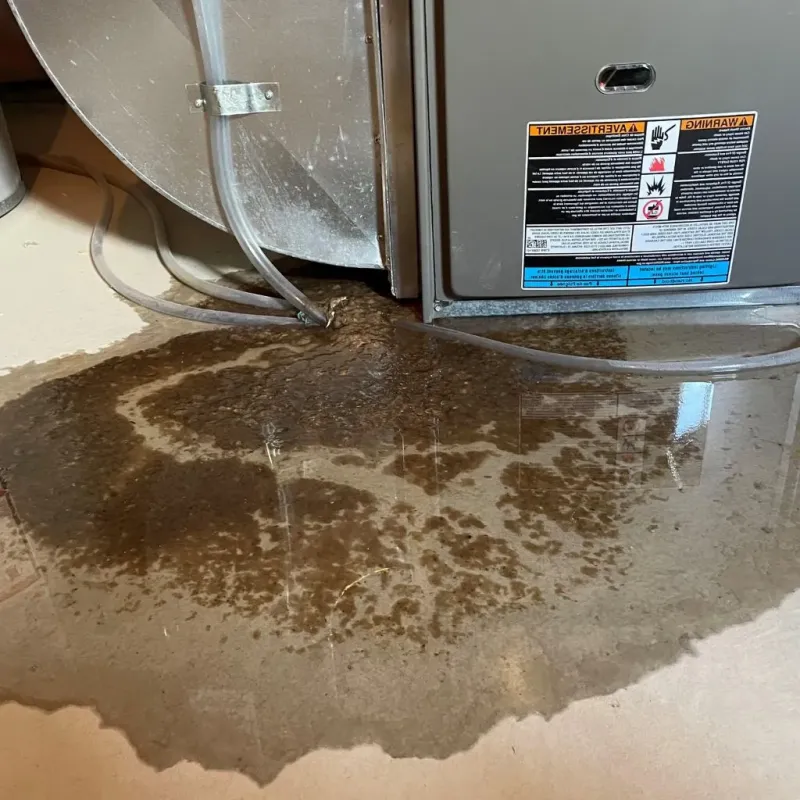 Pipe Burst and Leak Restoration in Cherokee County, NC