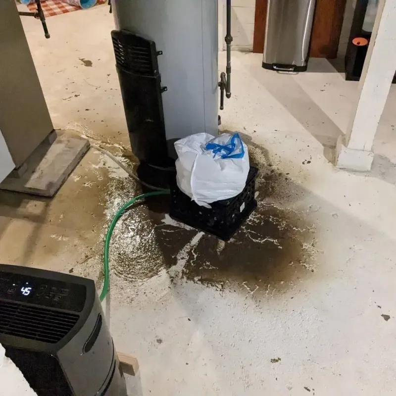 Sewage Backup Cleanup Service in Cherokee County, NC